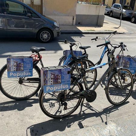 לינה וארוחת בוקר סירקוזה Populus מראה חיצוני תמונה